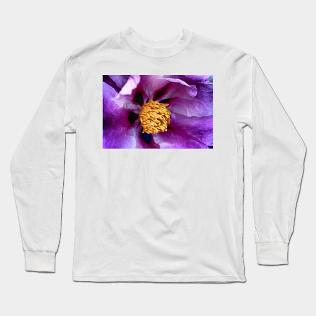 Spring Bloom Long Sleeve T-Shirt by JimDeFazioPhotography